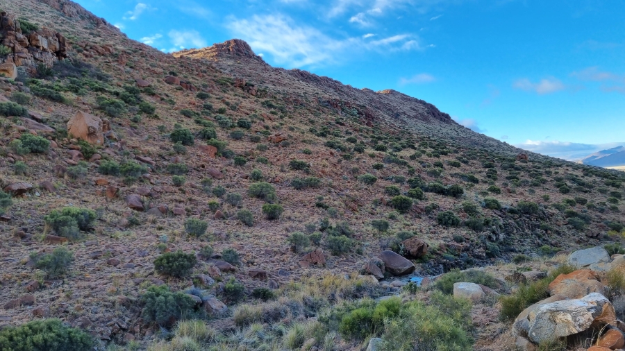 0 Bedroom Property for Sale in Middelburg Eastern Cape